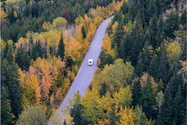 motorhome hire driving through stunning road surrounded by woods