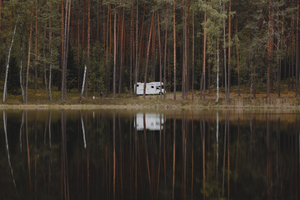 campervan hire in Scottish woodlands